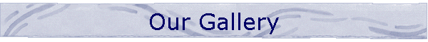 Our Gallery