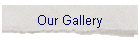 Our Gallery